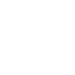 Performance Upgrades